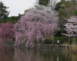 施設画像7