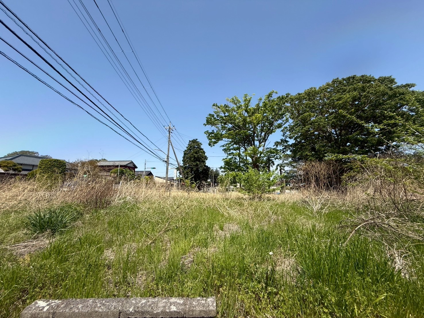 詳細画像3