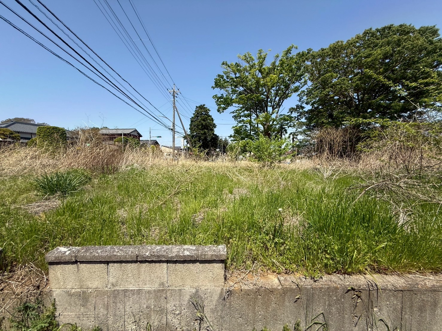 詳細画像4