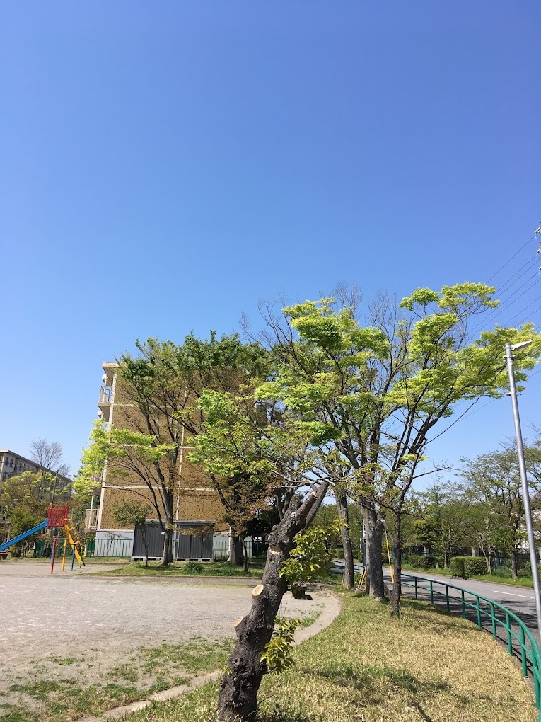 施設画像6
