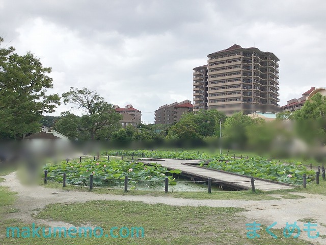 施設画像7